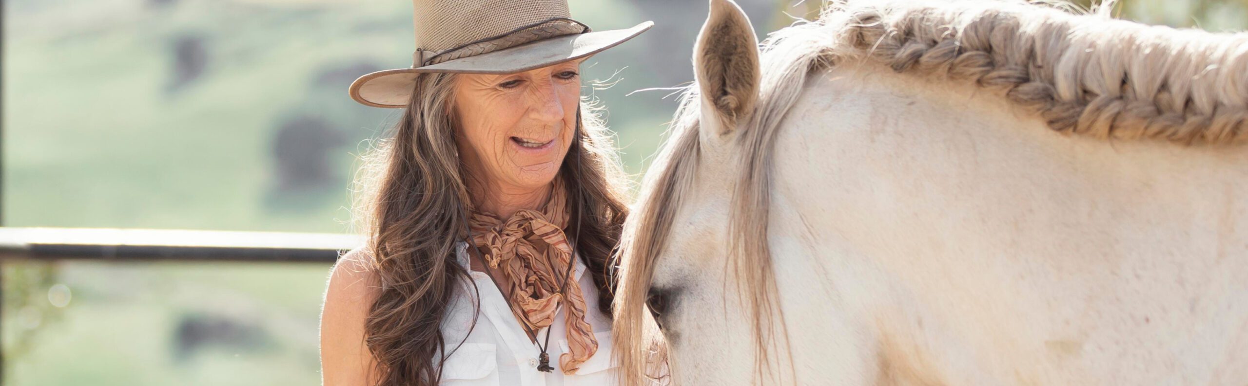 Understanding Grief and Loss: Navigating the Heartache of Losing a Beloved Companion
