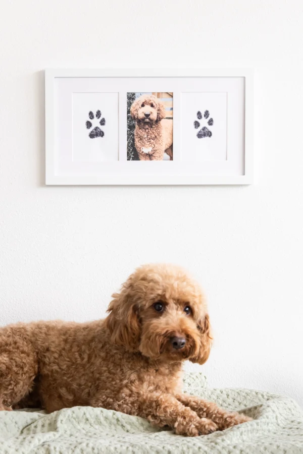 Pawprints 3-Opening Frame, Memorial Frame - Image 6