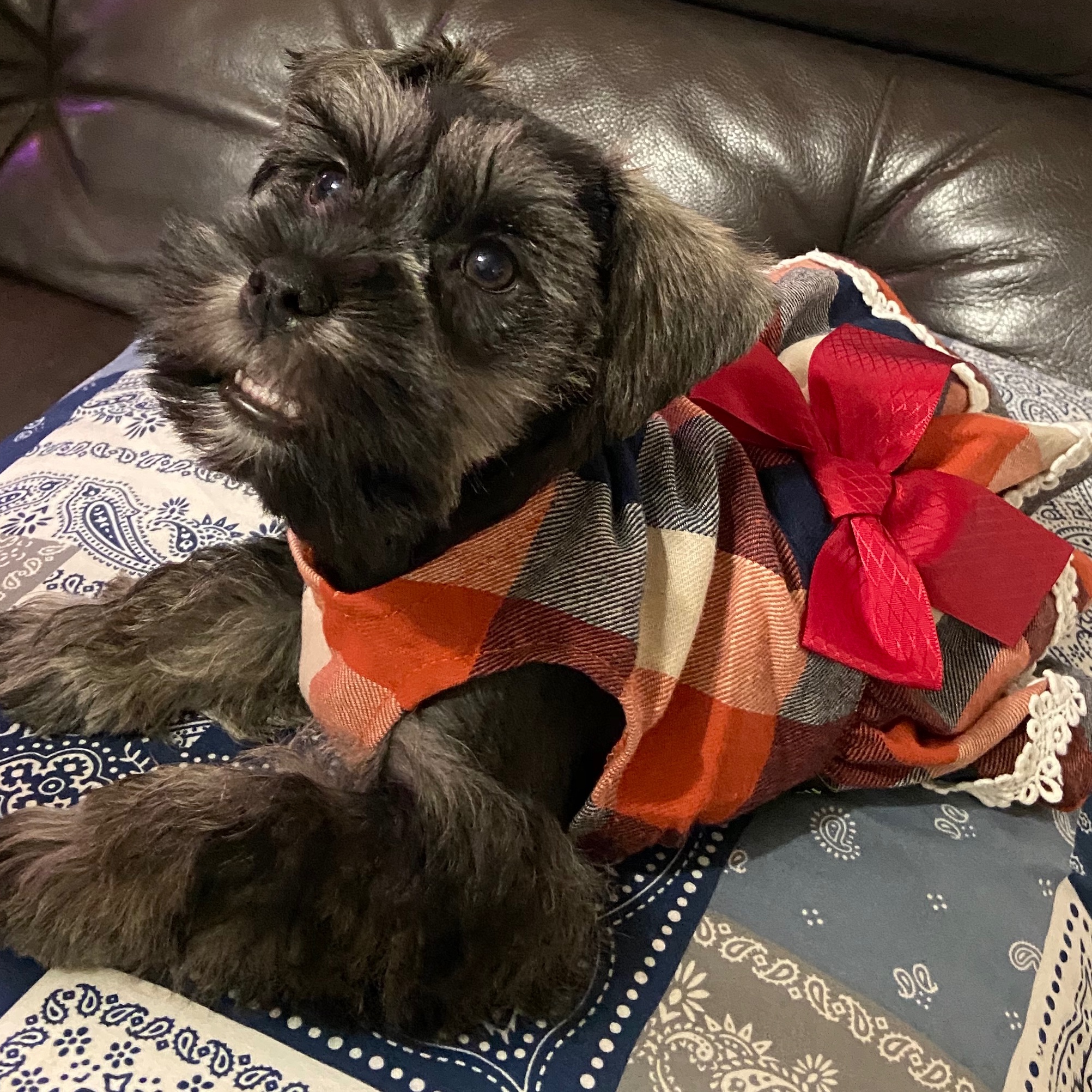 Carol Nettles Carol Nettles