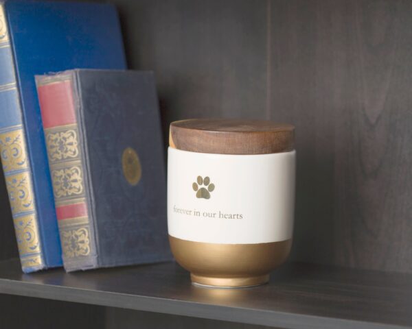 Gold and wood pet urn with paw print engraving on a shelf next to books.