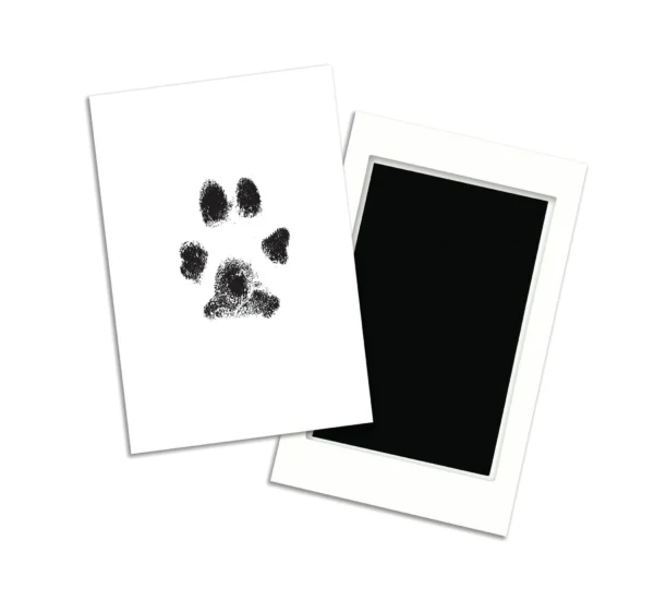 Pet Paw Print Created with Clean-Touch Ink Pad – No Ink on Paws