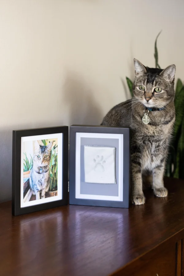 Pawprints Keepsake Photo Frame & Clay Impression Kit - Image 7