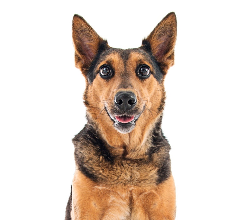 Cheryl Beryl Dean Crisp